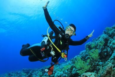 buceo isla de tabarca min 1