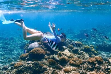 snorkel en tabarca min 1