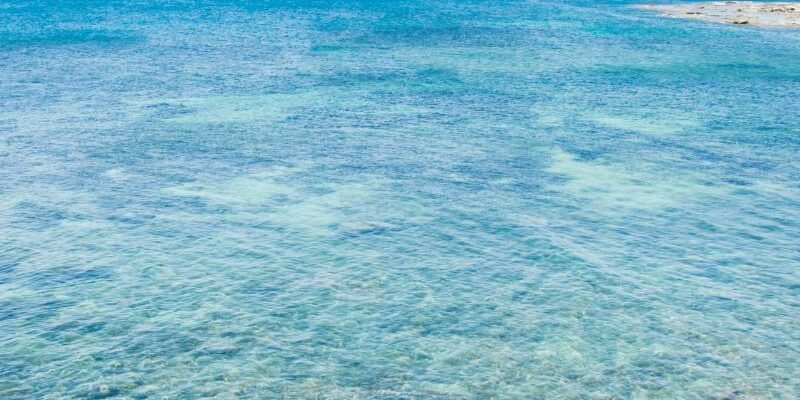 limpieza aguas tabarca