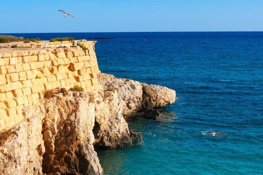 tabarca primerizo.jpg tabarca primerizo.jpg