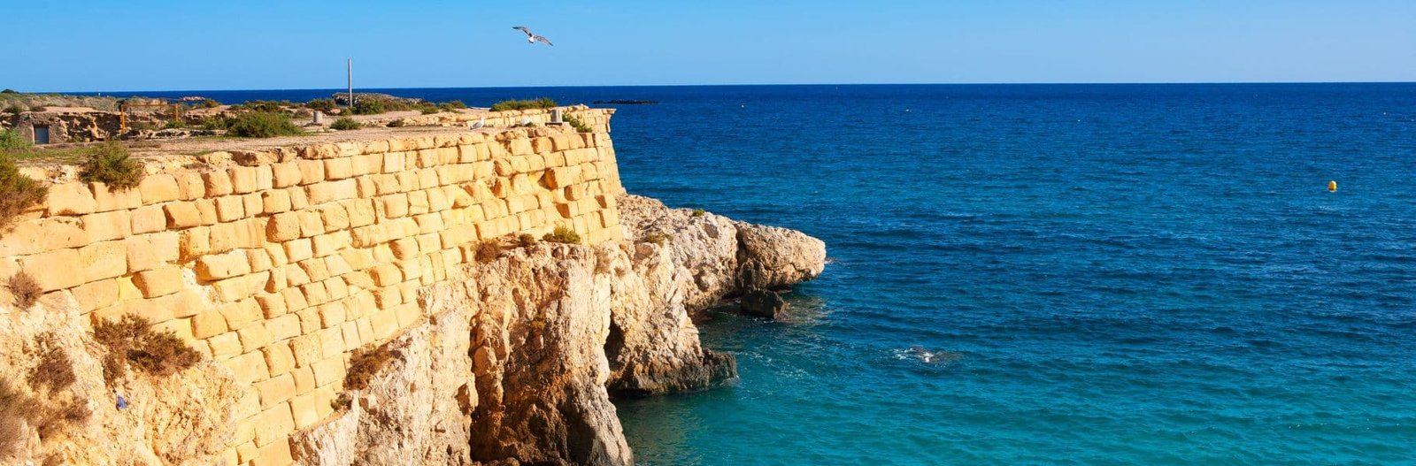 tabarca primerizo.jpg