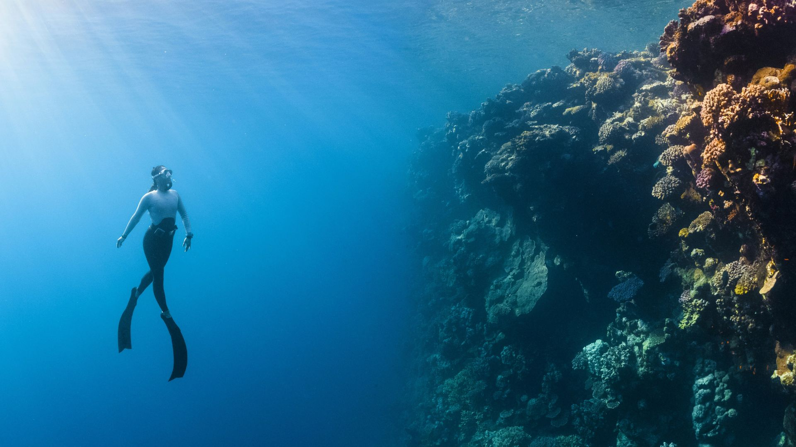 A group preparing their snorkelling gear