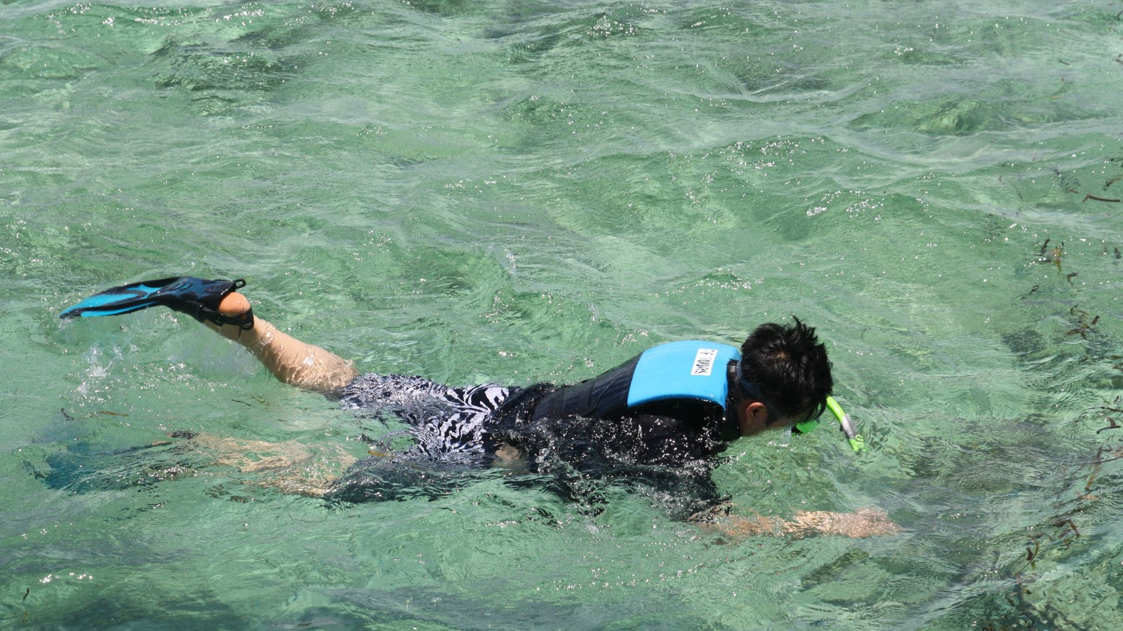 The crystal-clear waters off the coast of Tabarca